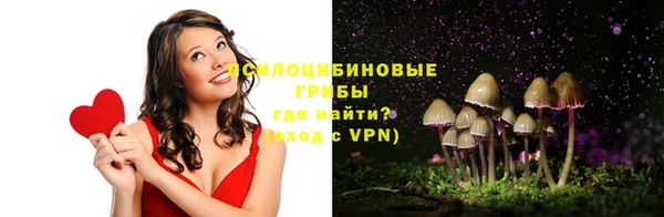СК Надым