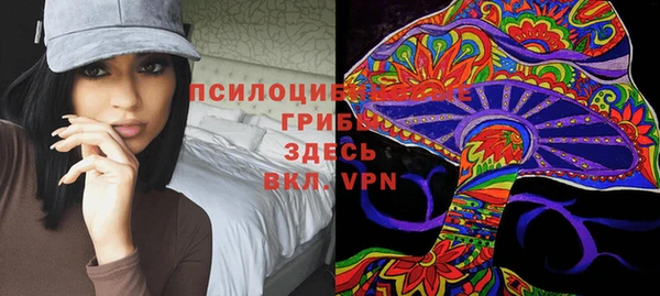 СК Надым