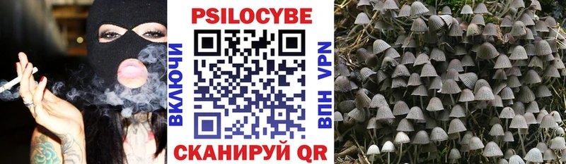 Псилоцибиновые грибы прущие грибы  Шали 